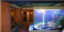Hotel Training