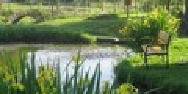 Talentum Falusi Üdülő